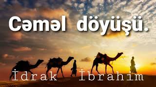 Cəməl  döyüşü.