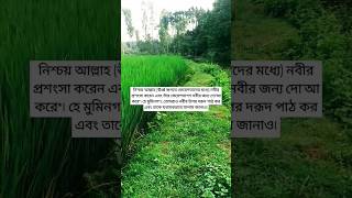 #shortsvideo #shorts #viralvideo #viralshorts #quran #qurantilawat #beautifulquran #কুরআন_তিলাওয়াত