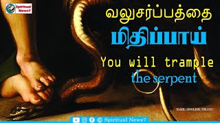 TPM MESSAGE | You will trample the serpent | Pas M Joseph | Christian Message | Bible Sermon | SN7