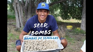 SEED BOMBS - Creando bombas de semillas