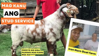 FARM TOUR AT IRON HORN GOAT FARM/GOAT FARMING PHILIPPINES