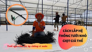 HƯỚNG DẪN LẮP HỆ THỐNG TƯỚI NHỎ GIỌT QUE CẮM