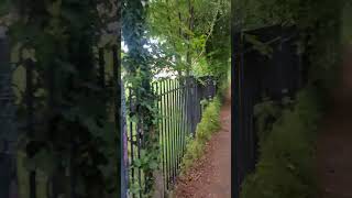 Ireland footpath side view 😯😱 || Roadside view of Dublin Ireland #shorts #ireland