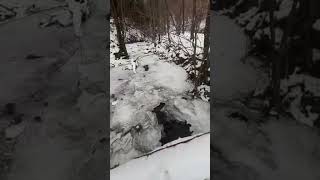 Spring #creek #water #izvor #maramures