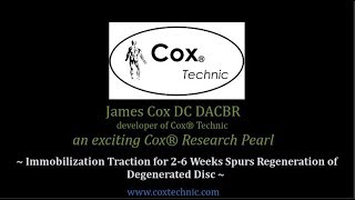 Cox® Research Pearl #151 Disc Regeneration