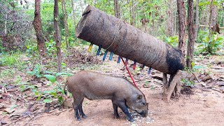 Creative Unique Wild Pig Trap UsingBig Palm tree - Best Wild Pig Trap #WildboarTrapping