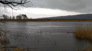 95%Быстрее засыпают С звуками дождя и грома.95%Fall asleep faster With the sound of rain and thunder