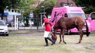 Ascot Charles Owen pony racing