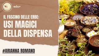 Fitoterapia| Il fascino delle Erbe | Usi magici della dispensa