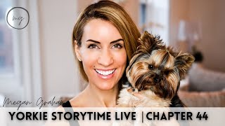 Yorkie Storytime Live  Chapter 44