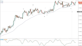 Daily forex analysis via Elliott Wave - 14.02.17