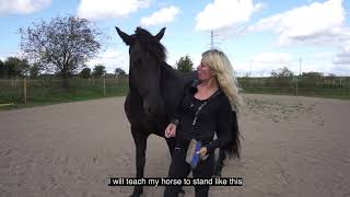 Teach your horse to stand still: When Horses Choose