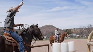 Roping at Circle Z Ranch