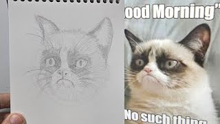 meme drawing journey 52 grumpy cat portrait