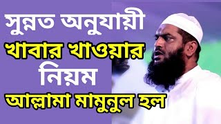 সুন্নত অনু্যায়ী খাবার খাওয়ার নিয়ম | Allama Mamunul Hoque TR Muslim TV