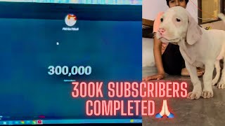 Pitti the Pitbull is going live!,300000 subscribers completed thanks 🙏🏻