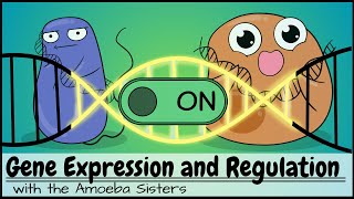 Gene Expression and Regulation