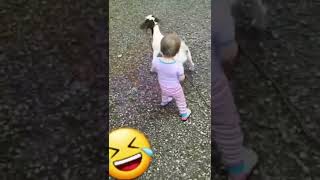 cute baby😍😘#viral#Short7   Copy