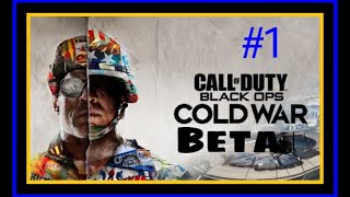 Call of Duty Black Ops Cold War Beta