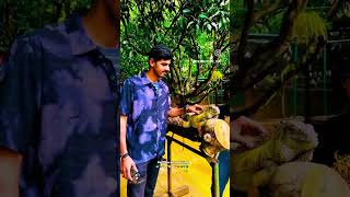 Pets are humanizing🐴🐓🐌🪿🐖🐁🐎🪳🦎🪱🐿️🐍🪼🐈🐇🦆🐝🦔🐡🐀 #kannada #travel #anianimals #youtuber