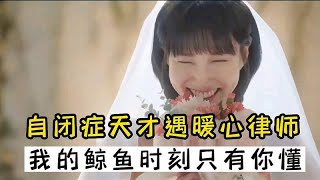 第四集｜9 0高分韩剧，自闭症少女遇到同频律师，太治愈啦