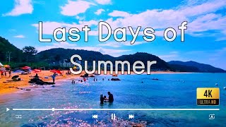 Last Days Of Summer | Chill Summer Lofi, Deep Chill Music Mix and Ocean Waves