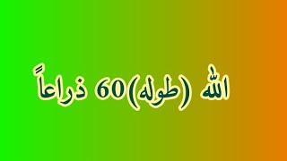 عصام الشيباني يرد على وليد السعيدان (طول الله) اللقاء الأول