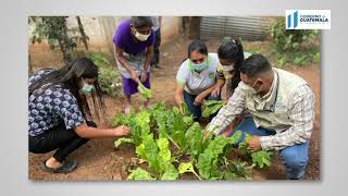 Día Mundial de la Alimentación 2021