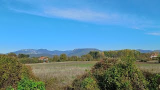 Niška pijaca i cene paprike i kupusa & Putovanje auto-putem od Niša do Beograda / Niš, 22. 10. 2024.