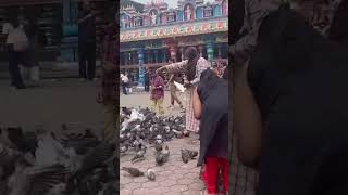 Feeding the Doves @ Batu Cave