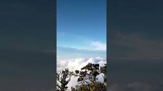 Pesona Puncak Gunung Cikuray Garut Jawa Barat