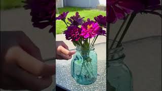 Picking flowers from the garden🌸🦋 #flowers #garden #gardening #plants #nature