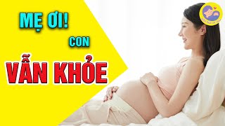 ☘️ Nhận Biết Thai Khỏe 3 Tháng Giữa, Những Dấu Hiệu Mẹ Bầu Cần Lưu Ý