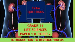 Introduction To Grade 11 Revision Videos