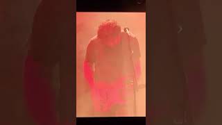 "Voodoo lady" by Ween live @ Red Rocks Aug 3rd 2023