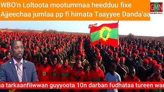 GMN/ 25/04/2024_WBO'n Loltoota pp heedduu fixe, waa'ee Taayyee danad'aa #oromo #world #oduuammee