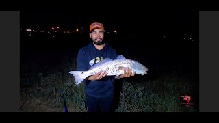 Unexpected catch at the jetties Day 1