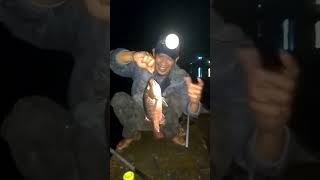 Mancing Di Dam Ijo Muara Baru||Teknik Koncer||Umpan Ikan Mujaer#mancing #shorts #foryou