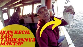 Mancing seru di untung jawa #trailervideo