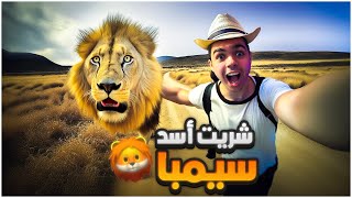 حديقة الحيوان #2 : شريت أول اسد للحديقة سيمبا 😍🔥 | Zoo