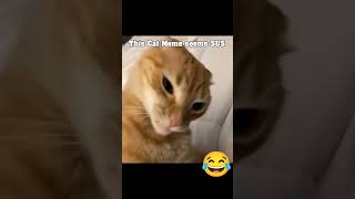 This Cat Meme seems to be SUS 😂 #cat #meme #catmeme #funny #funnymeme #viral #trend  #sus #susybaka