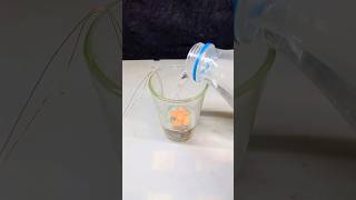 Battery motor science experiment project / hw battery connected dc motor under water test