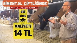 Süt Yem parametresi ne olmalı? Prof.Dr. Armağan Hayırlı hayvancılığı ekonomik açıdan değerlendiriyor