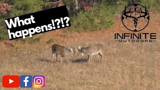 BIG BUCK FIGHT!?!?! RUT ACTION on a Private land hunt!! MISSISSIPPI deer hunting at its BEST!!!