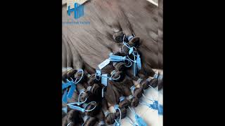 Blue Band Hair Factory Directly Sales!!💰💰😍😍One Bundle Can Get Wholesale Price!