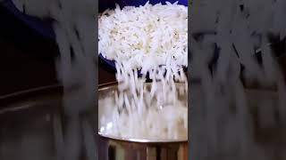 rice phirni