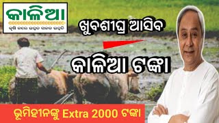 Kalia Yojana Big Update 26 February 2024 । Good news for Farmers in Odisha । SJ SusanTech