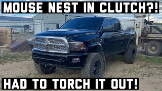 How To: Replacing Clutch on G56 Transmission with South Bend Dual Disk, 2014 Ram 6.7 Cummins