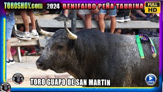 BENIFAIRO DE LES VALLS PEÑA TAURINA 2024 ▶️✅ TORO GUAPO DE SAN MARTIN TOROS TV