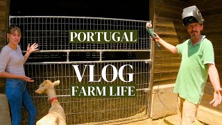 Recycling & Upcycling - Making do with what we have on the Farm at Quinta Fonte da Pipa 🐐🐐